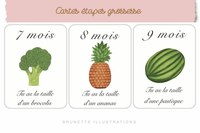 cartes étapes grossesse avec fruits et légumes