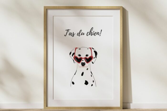 affiche chien dalmatien